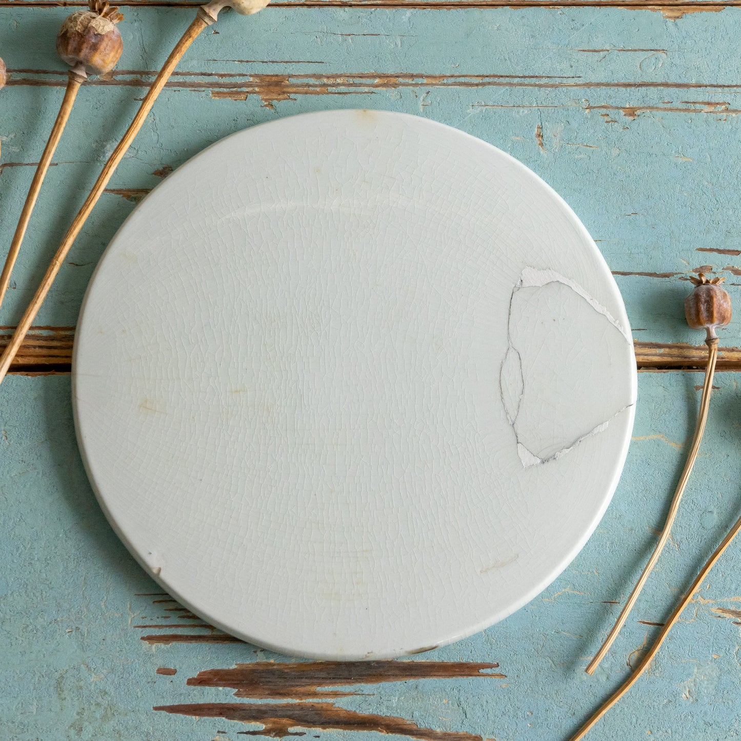 Antique Ironstone Scale Plate