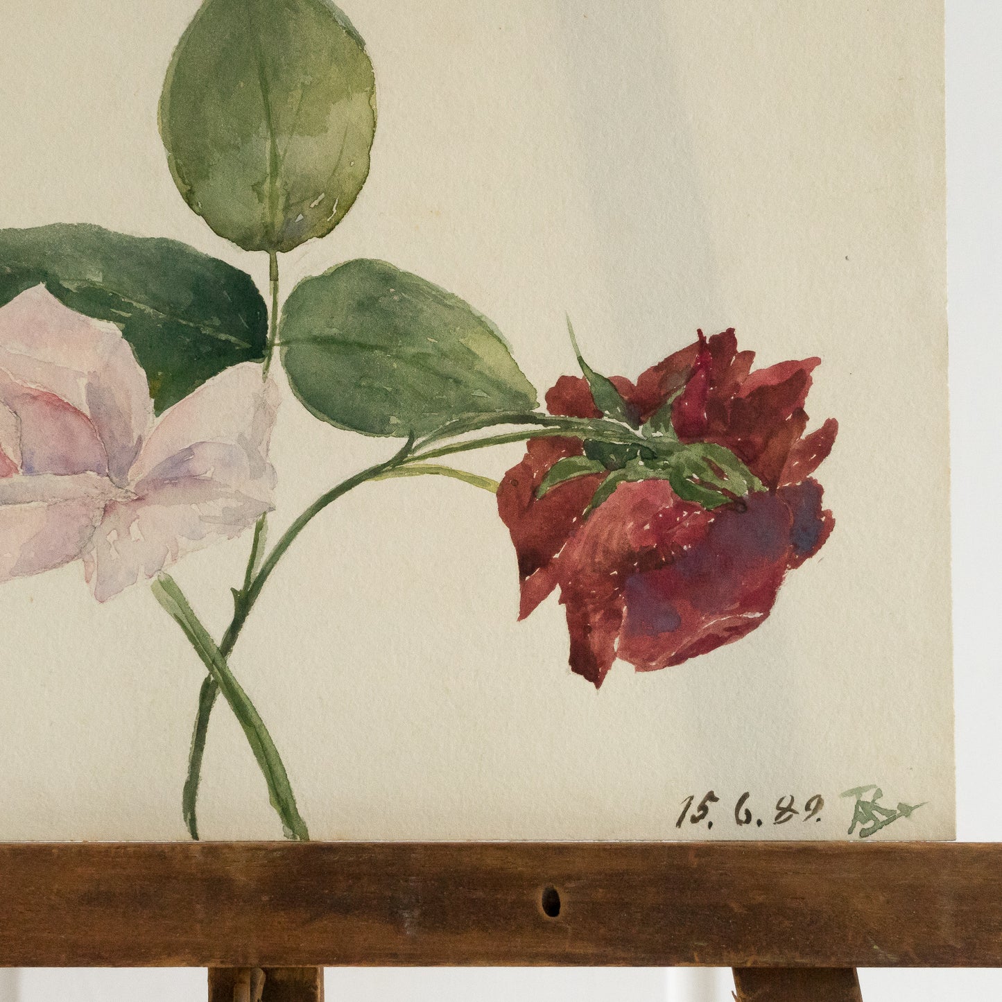 Small Watercolour of Two Roses