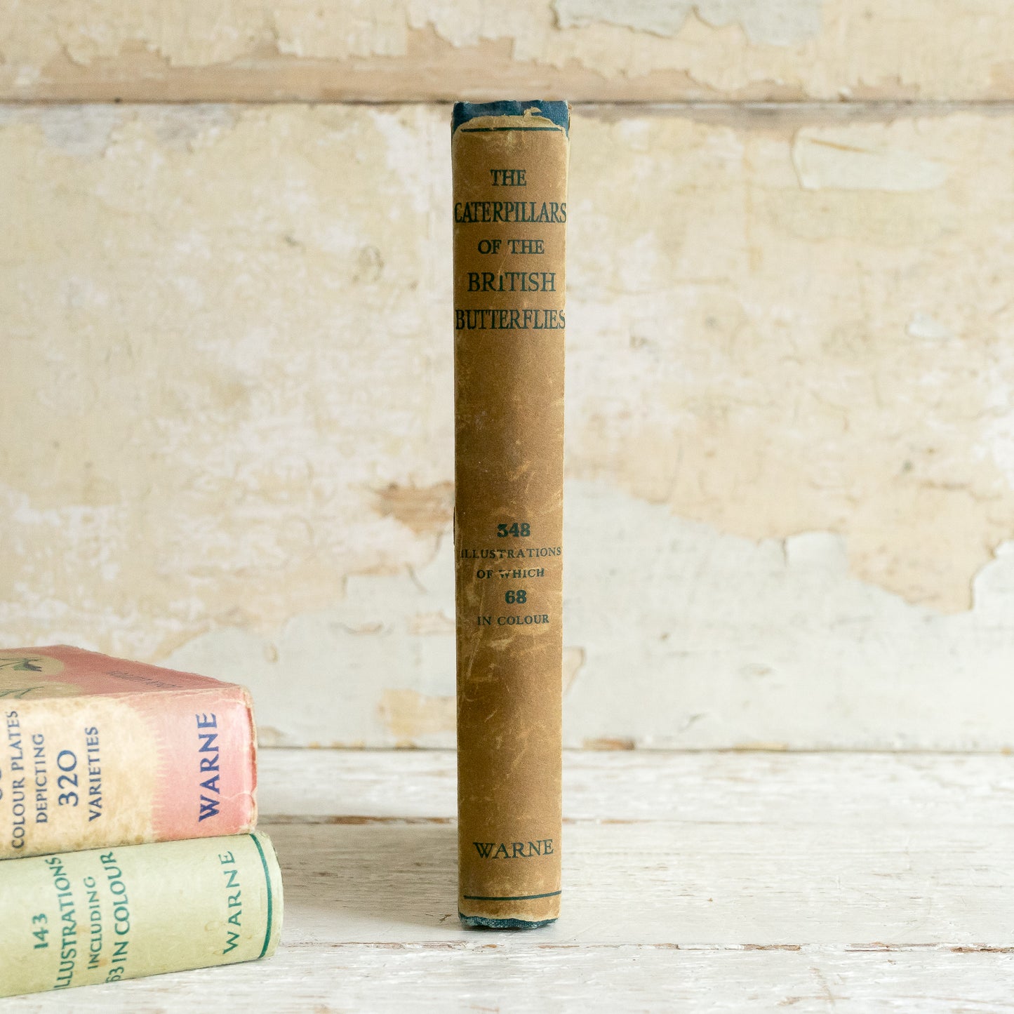 The Caterpillars of the British Butterflies Book