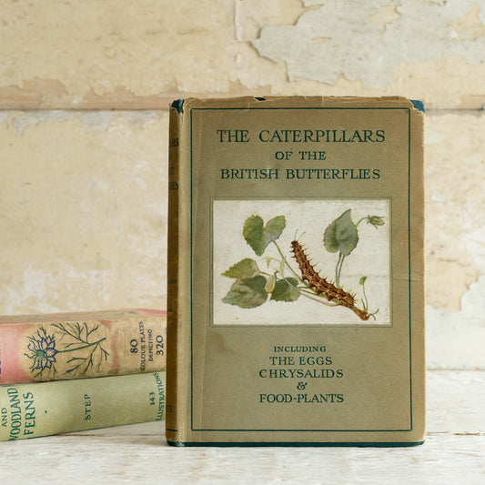 The Caterpillars of the British Butterflies Book