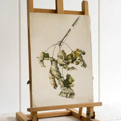 Antique Water colour Painting of Leaves #2