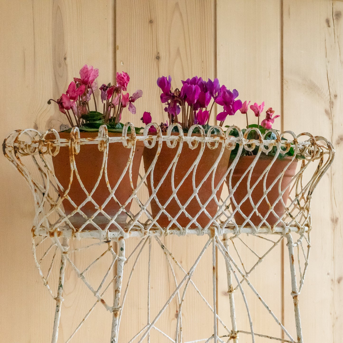 Antique Wirework Plant Stand