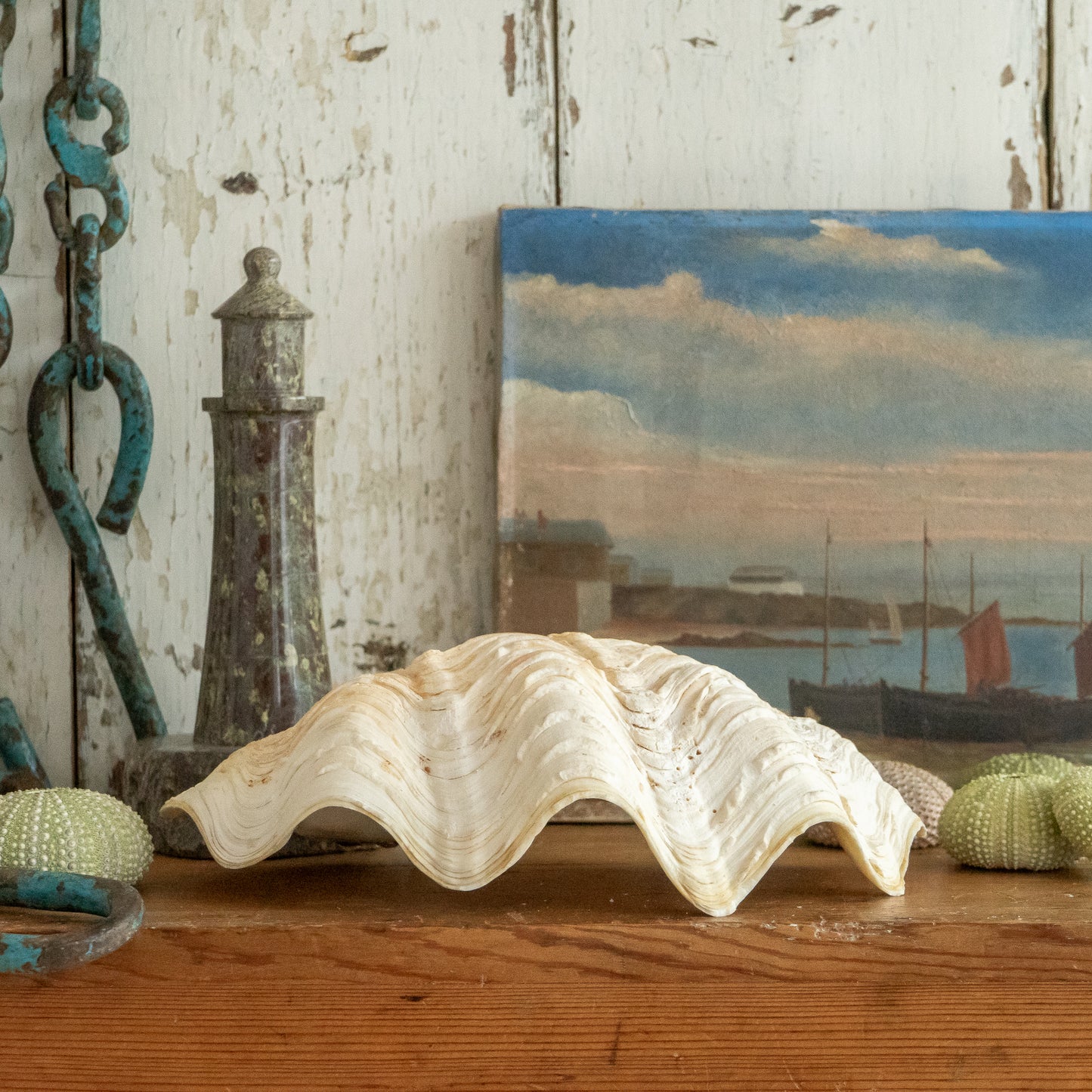 Clam Shell