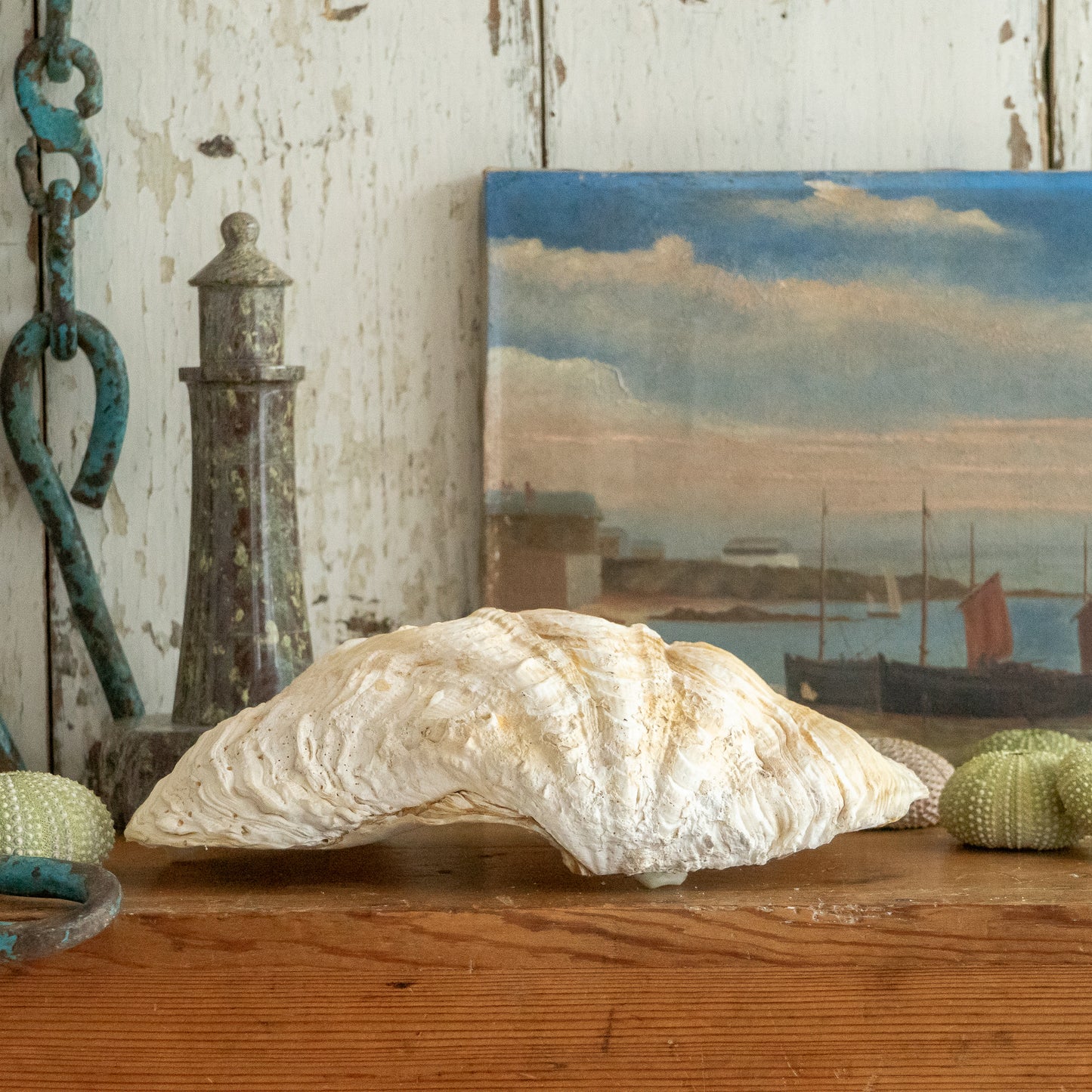 Clam Shell