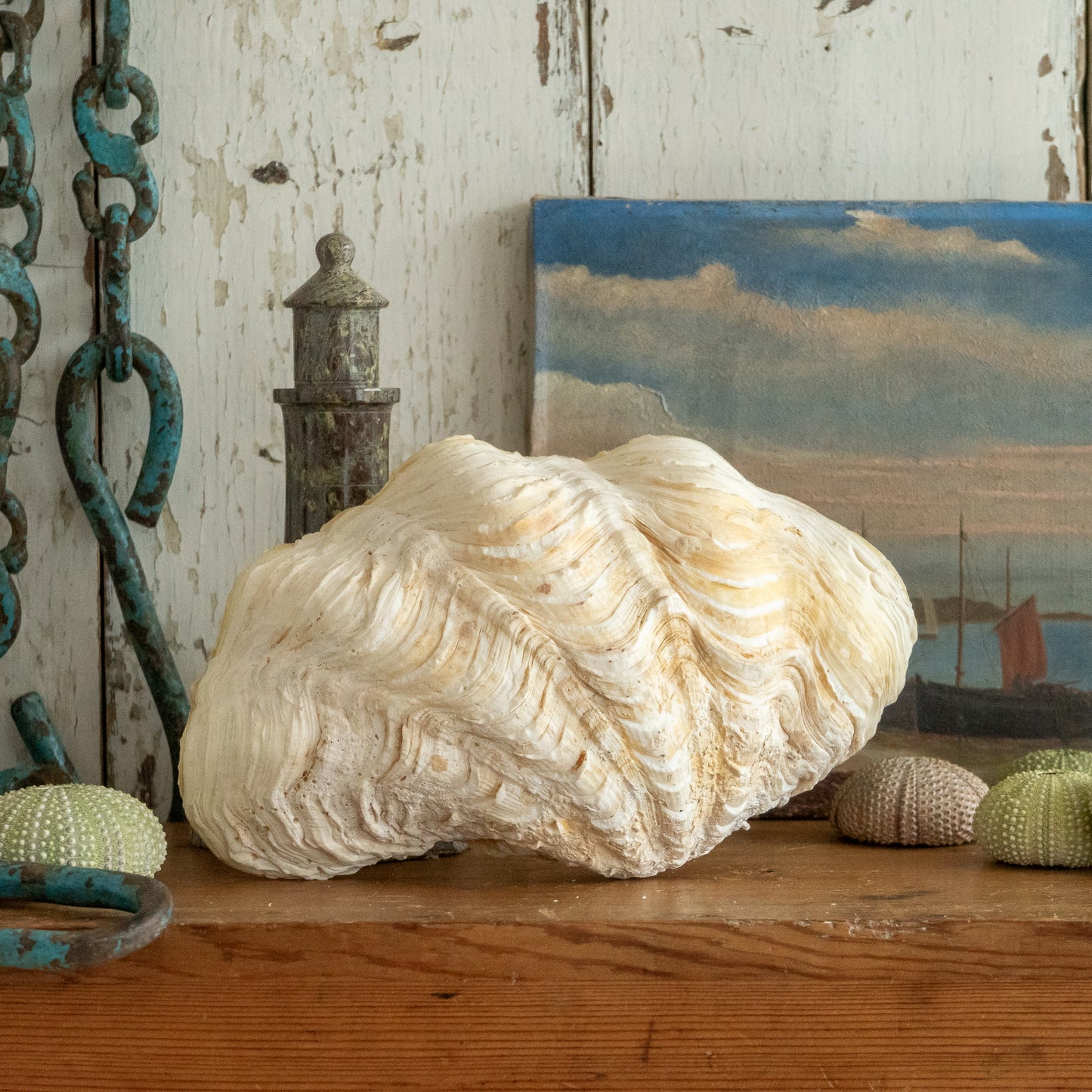 Clam Shell