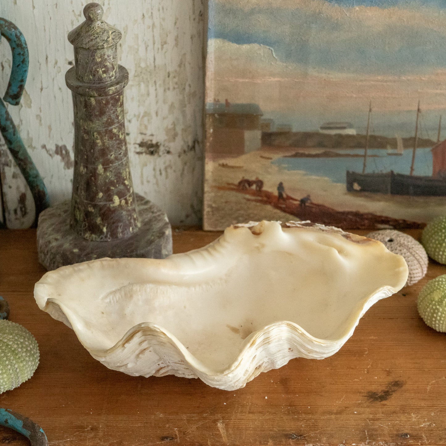 Clam Shell
