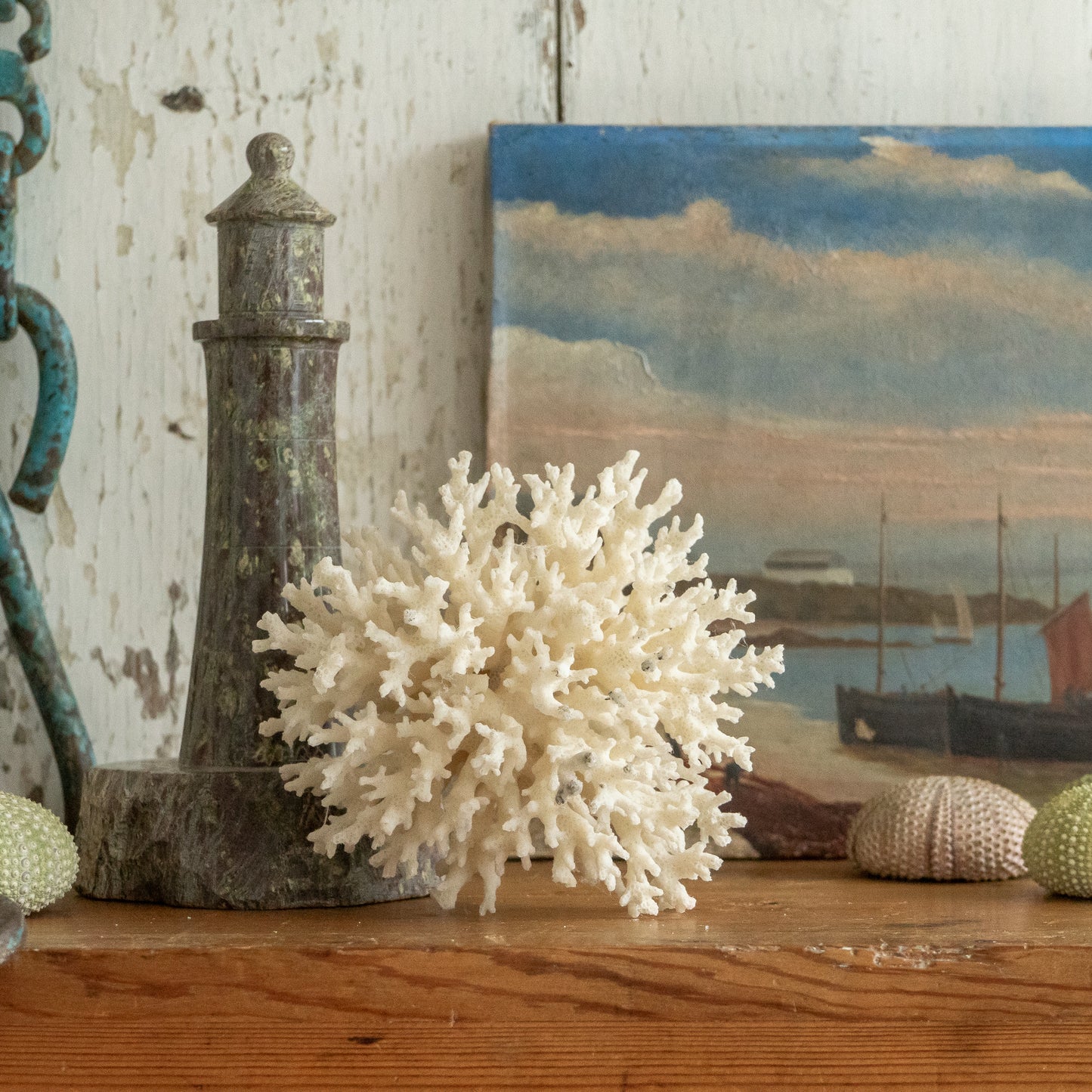 Delicate Little Natural Coral Specimen