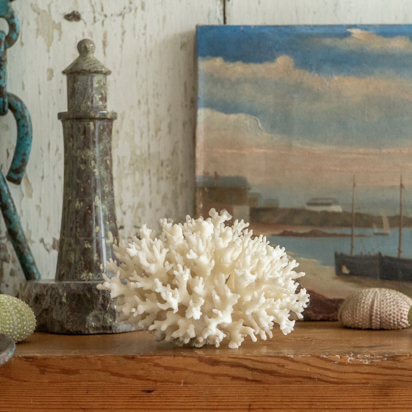 Delicate Little Natural Coral Specimen