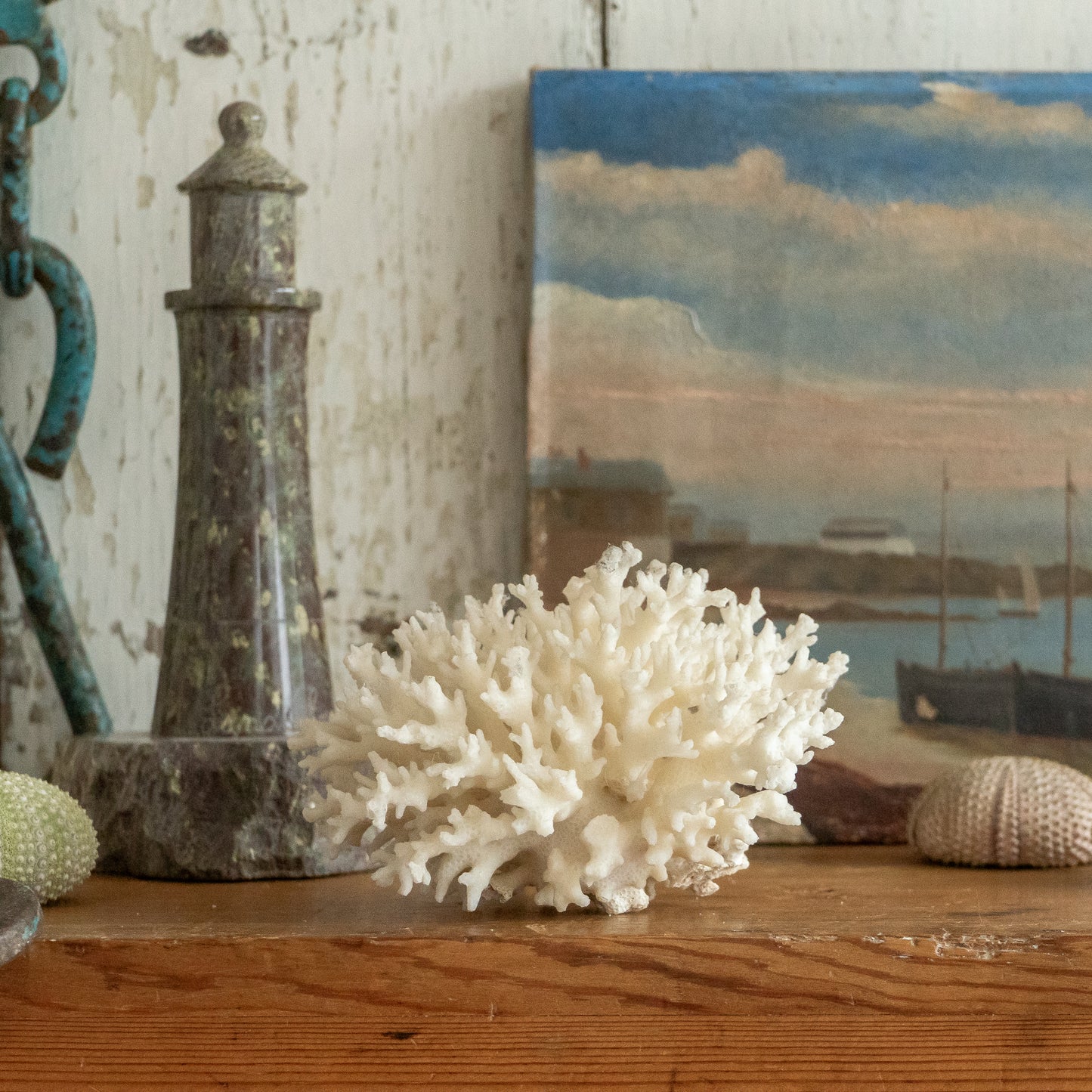 Delicate Little Natural Coral Specimen