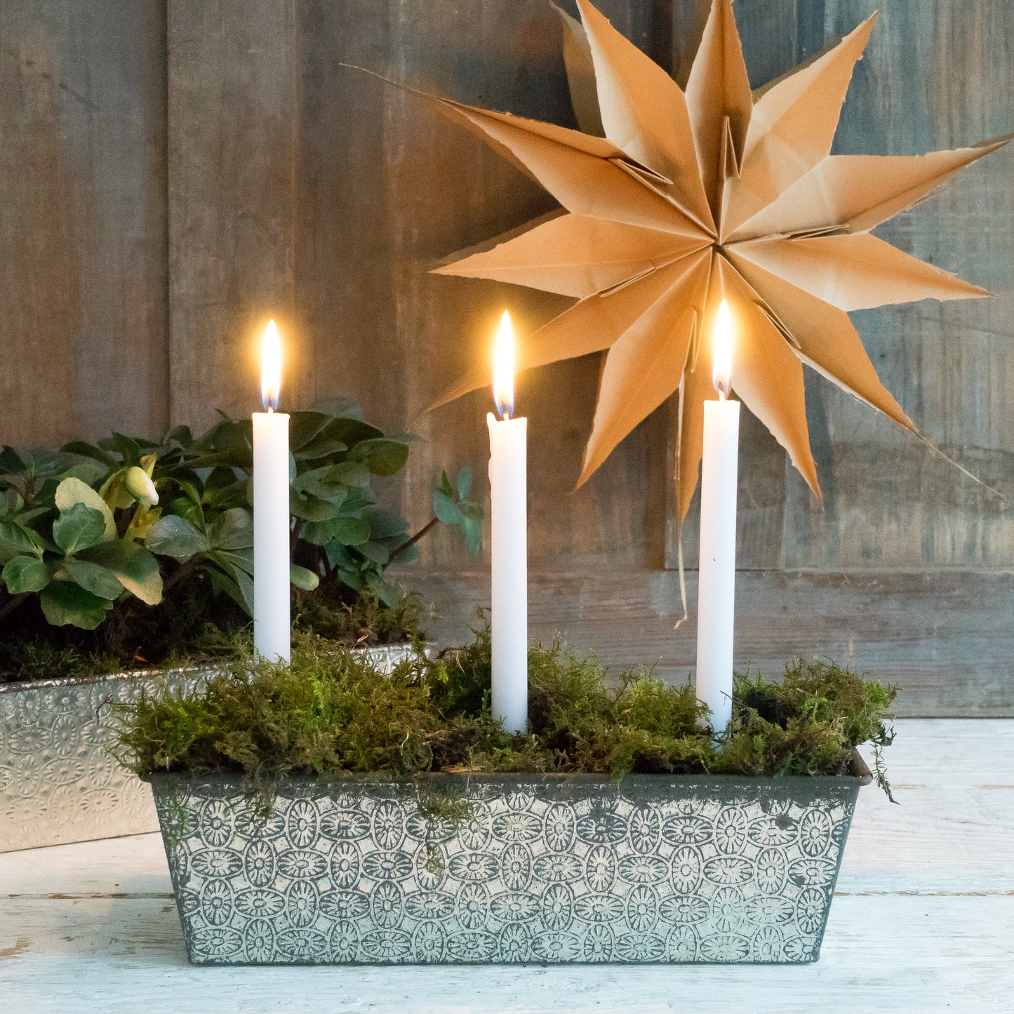 Fabulous French Cake Tin