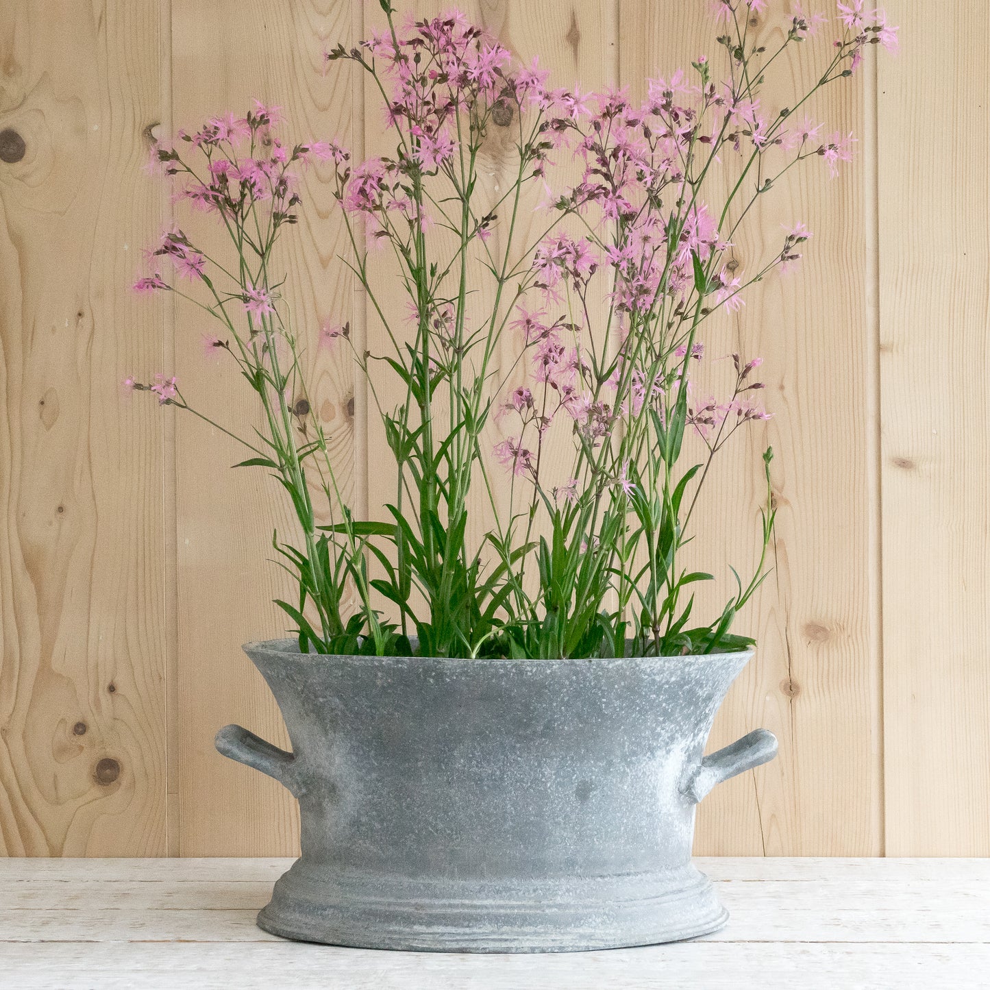 Fabulous Large Zinc Planter