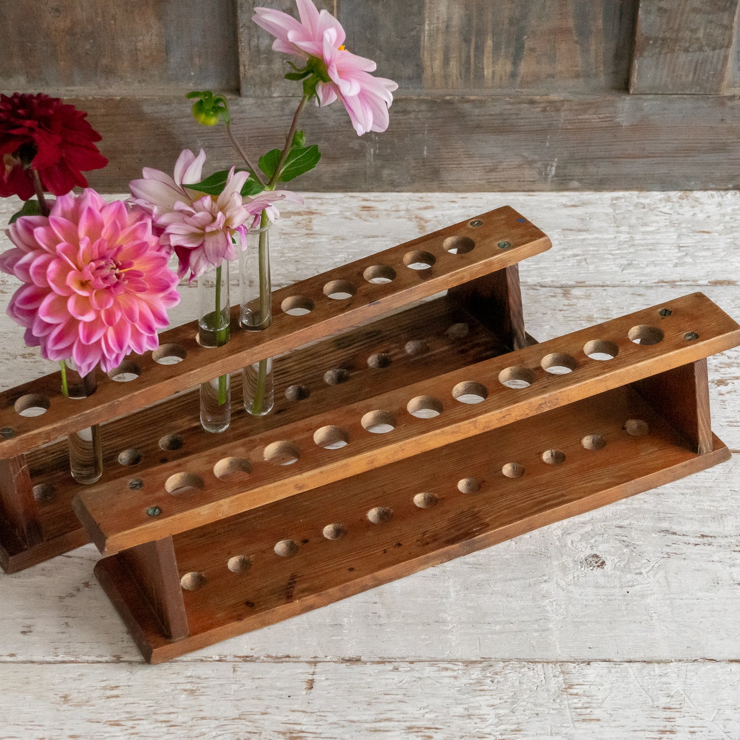 Long Vintage Test Tube Rack and Tubes