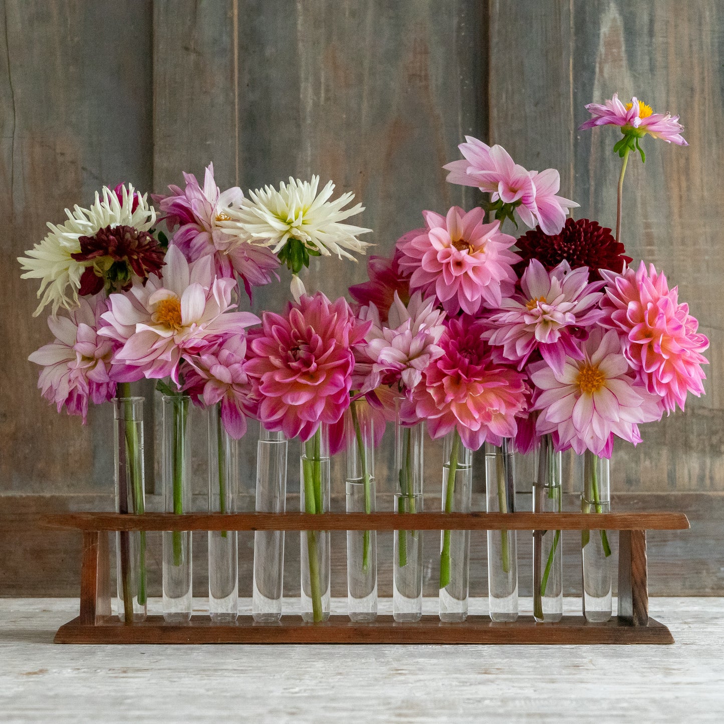 Long Vintage Test Tube Rack and Tubes