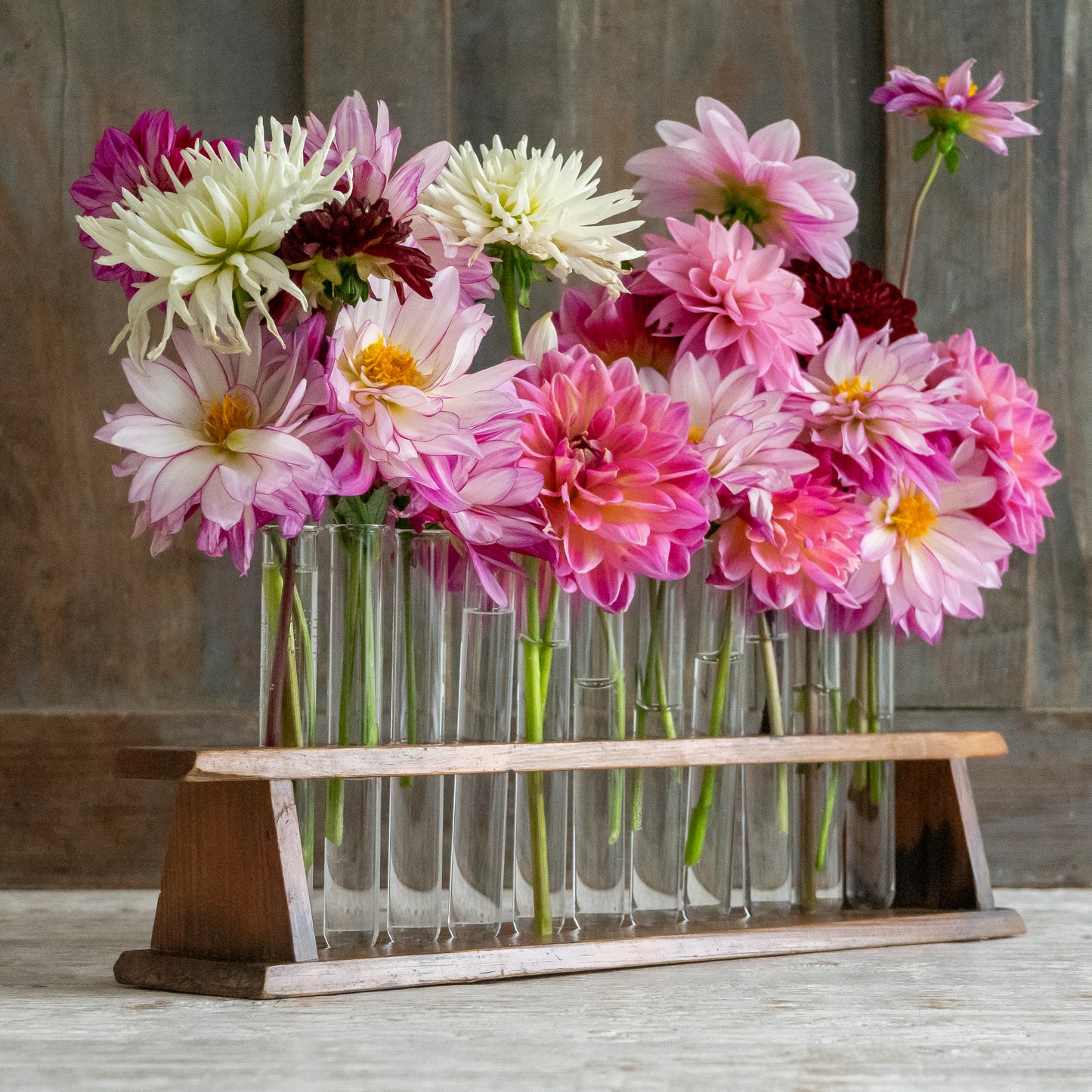 Long Vintage Test Tube Rack and Tubes