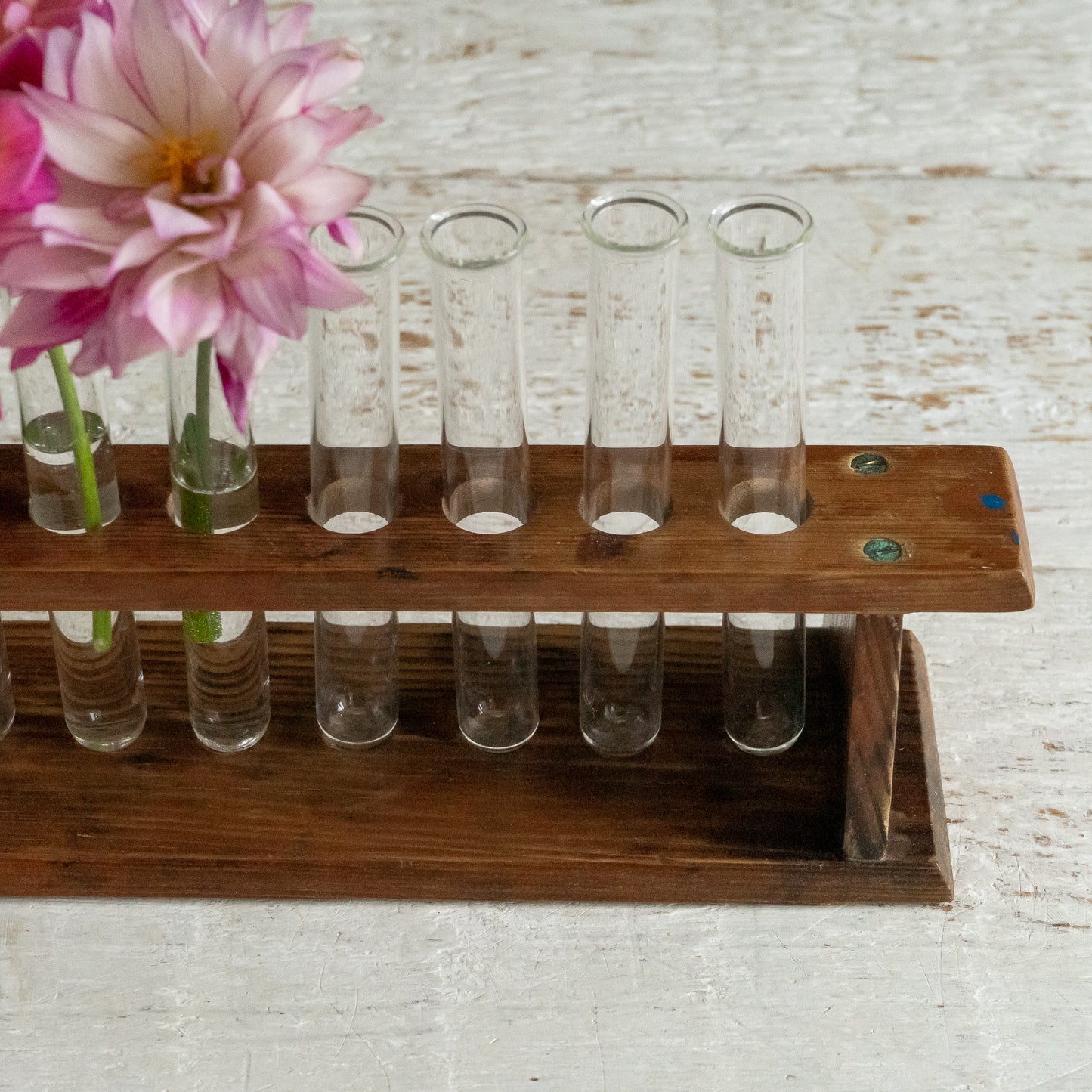 Long Vintage Test Tube Rack and Tubes