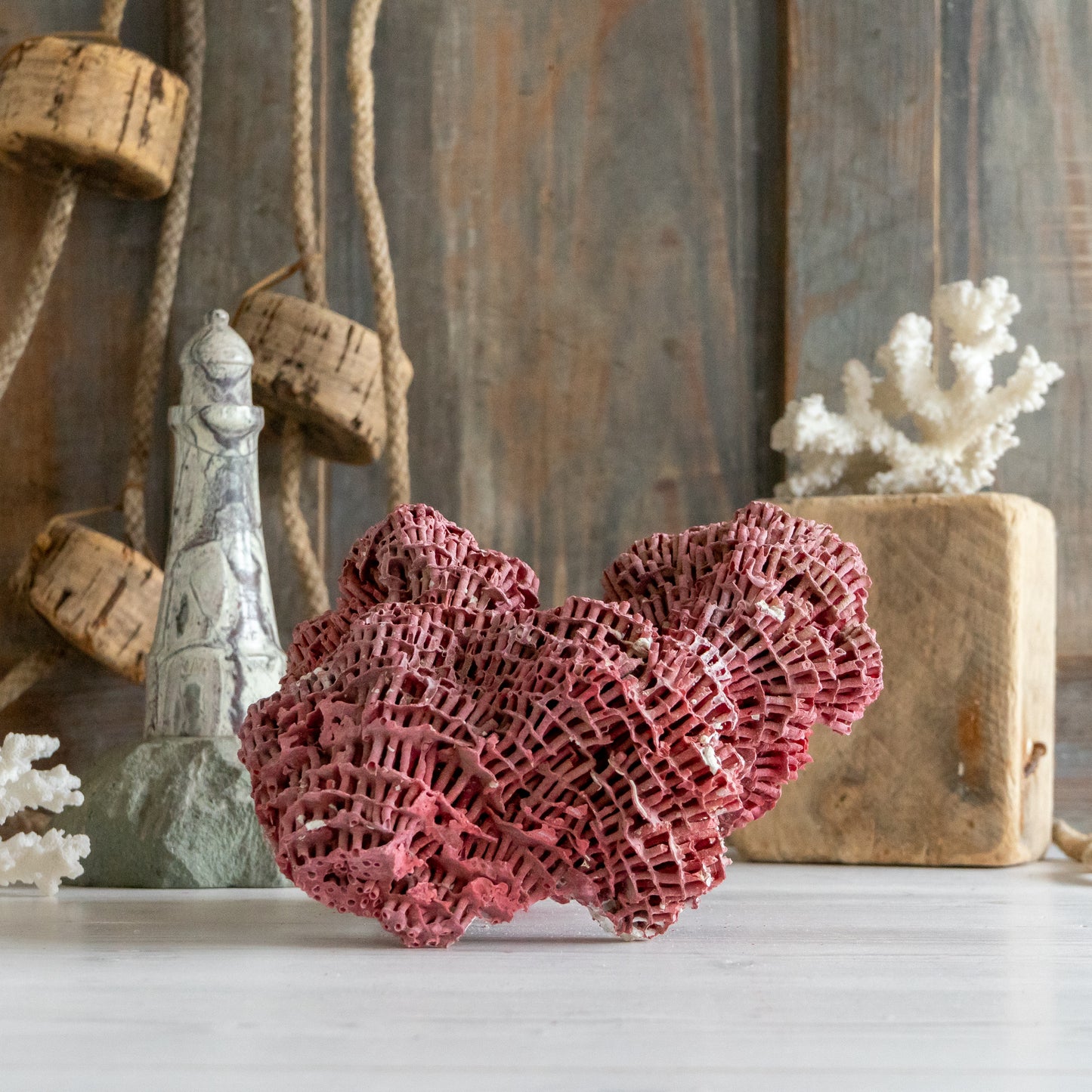 Natural Red Pipe Organ Coral Specimen