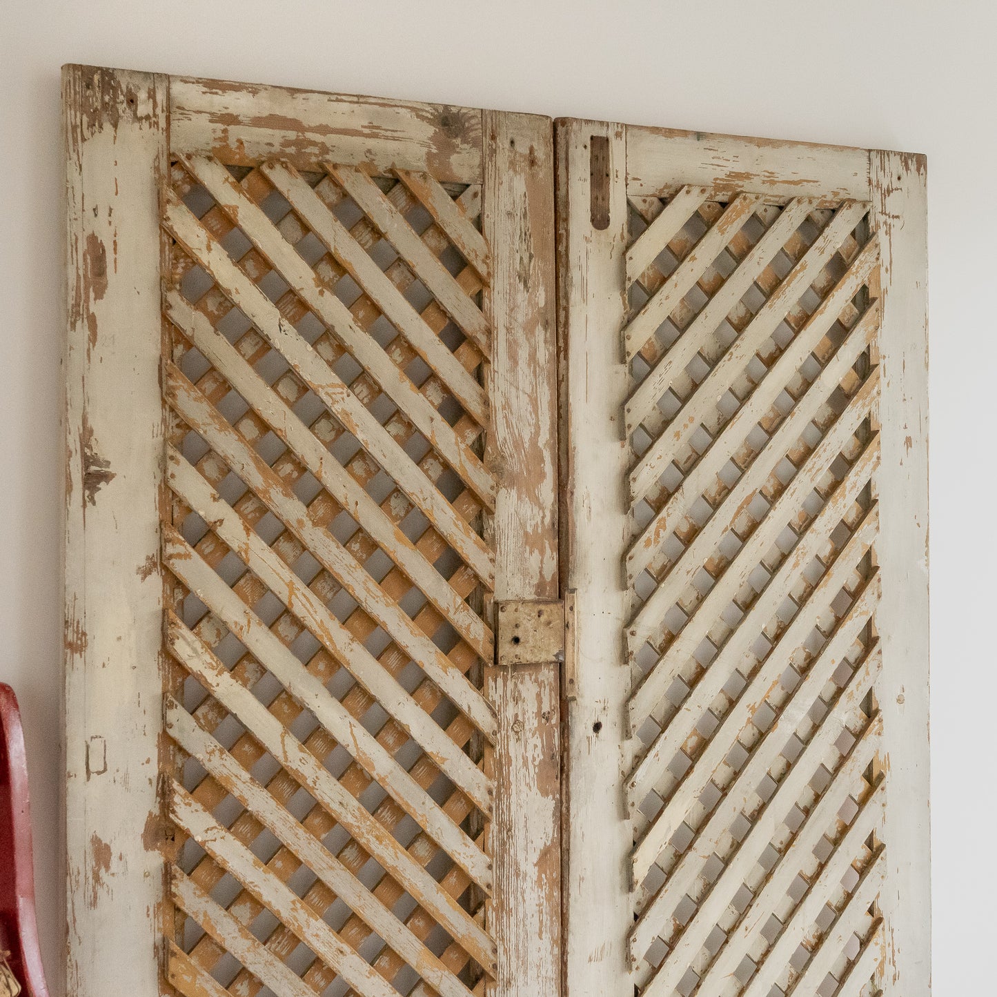 Pair of Decorative Painted Cupboard Doors