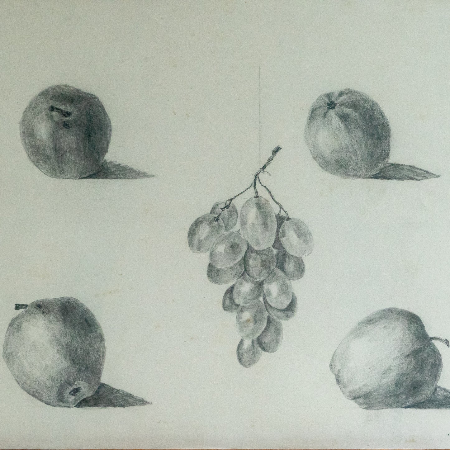Pencil Drawing of Apples and Grapes