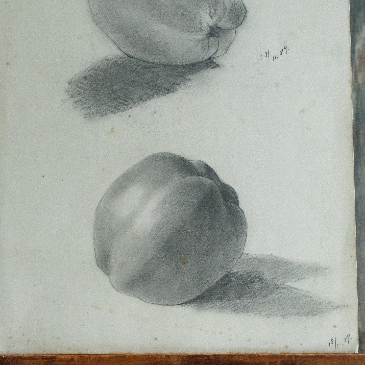 Pencil Drawing of Two Apples #3