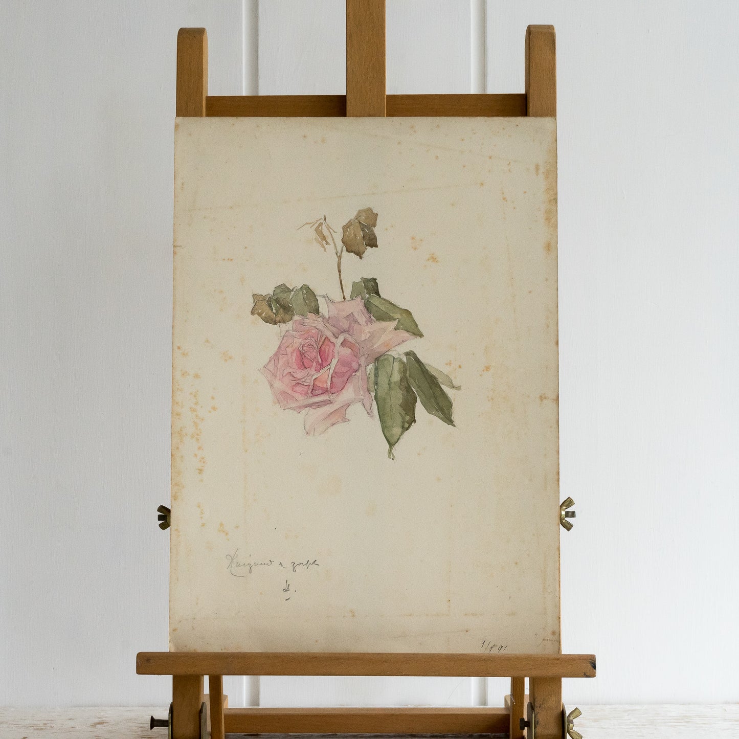 Pink Rose Watercolour Painting