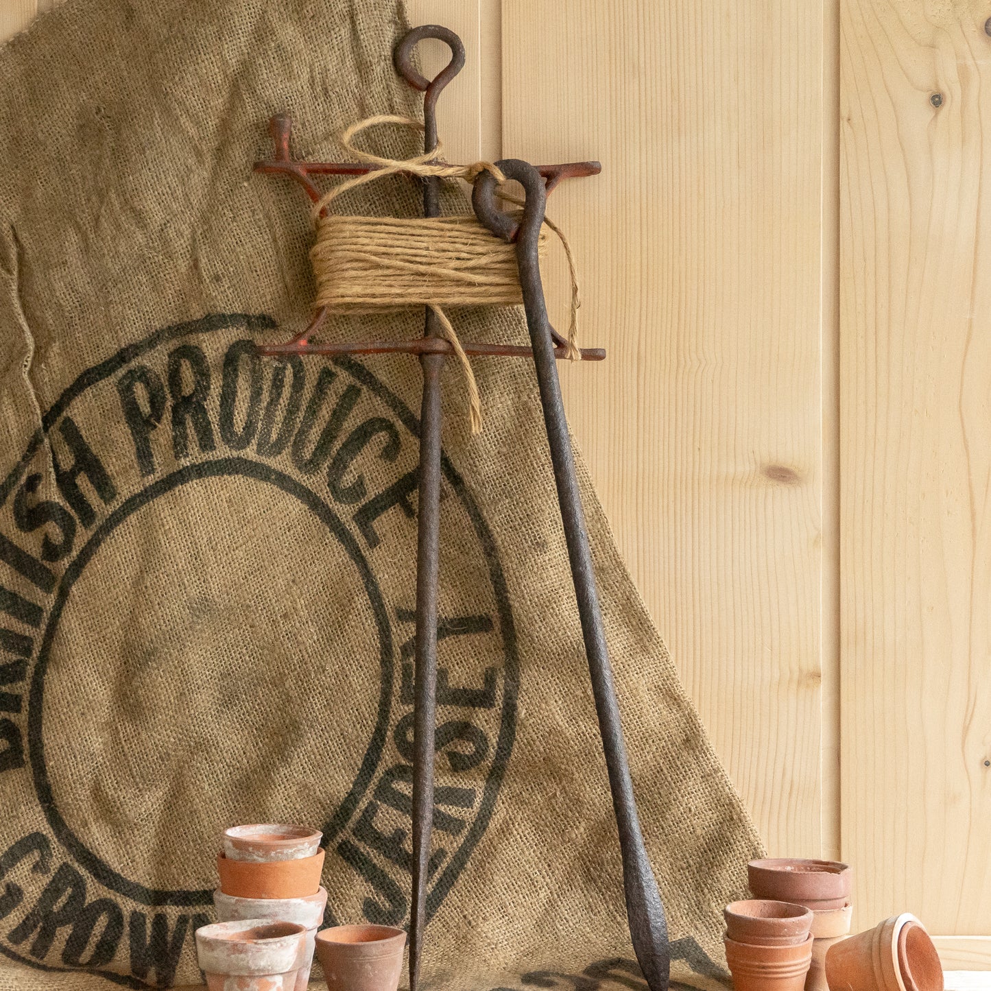 Rustic Metal Garden Line