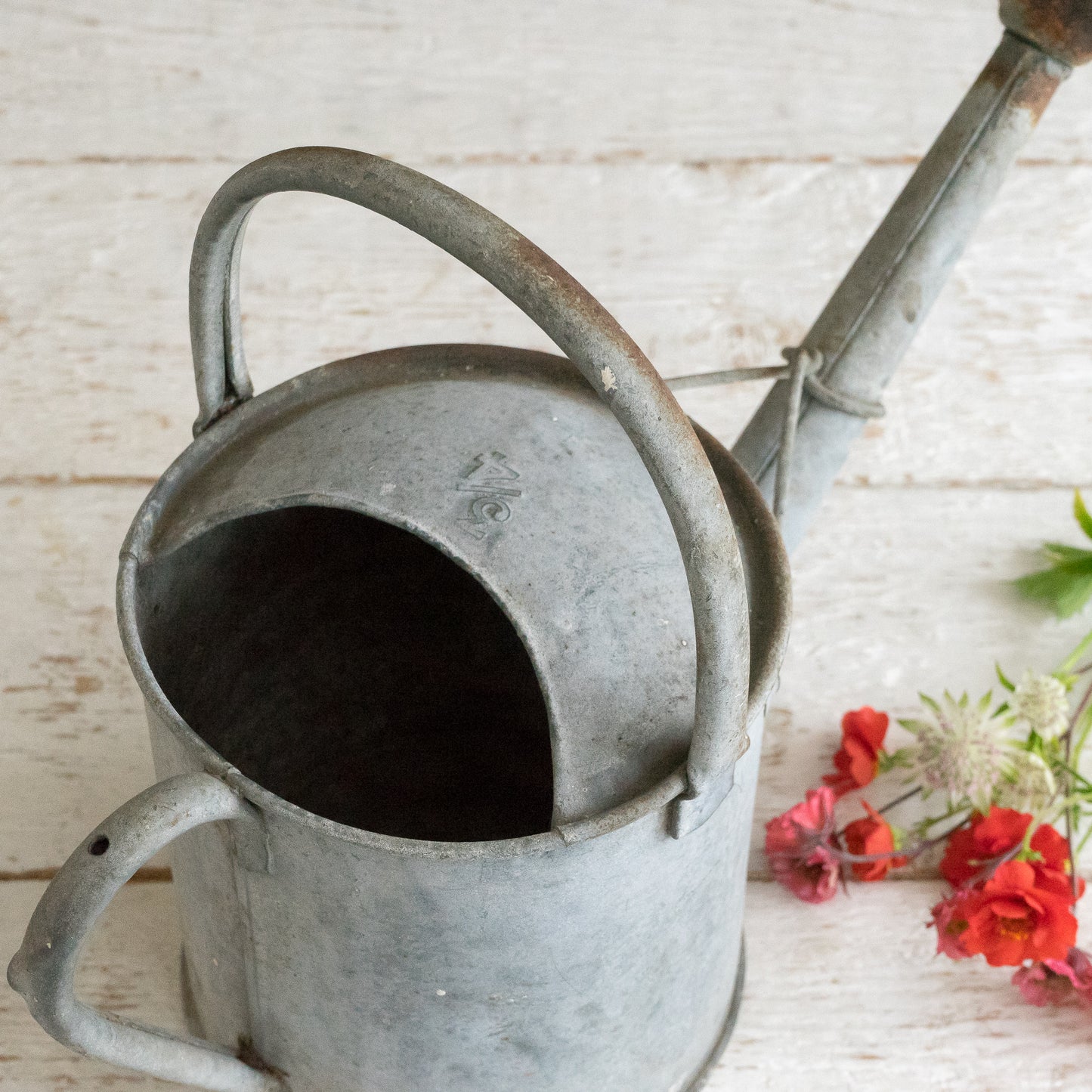 Sweet Little Watering Can and Rose