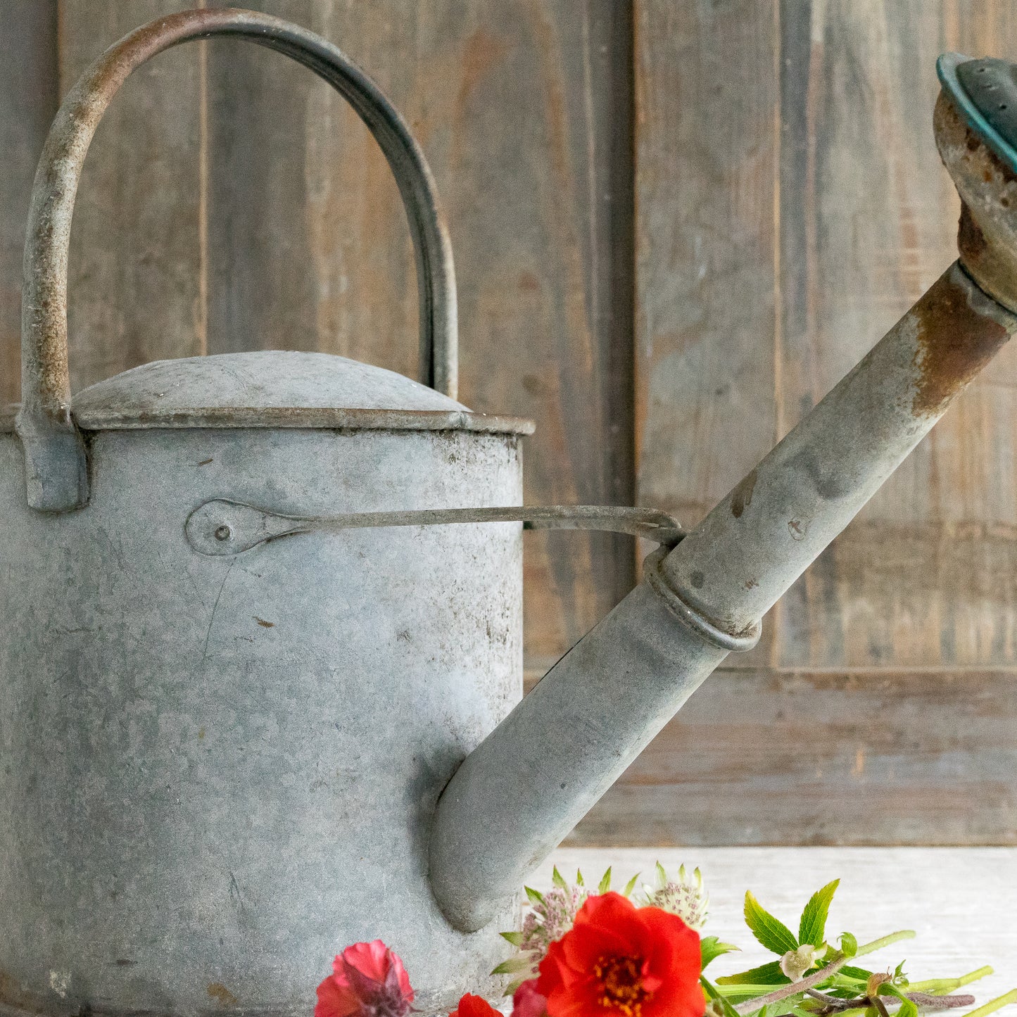 Sweet Little Watering Can and Rose
