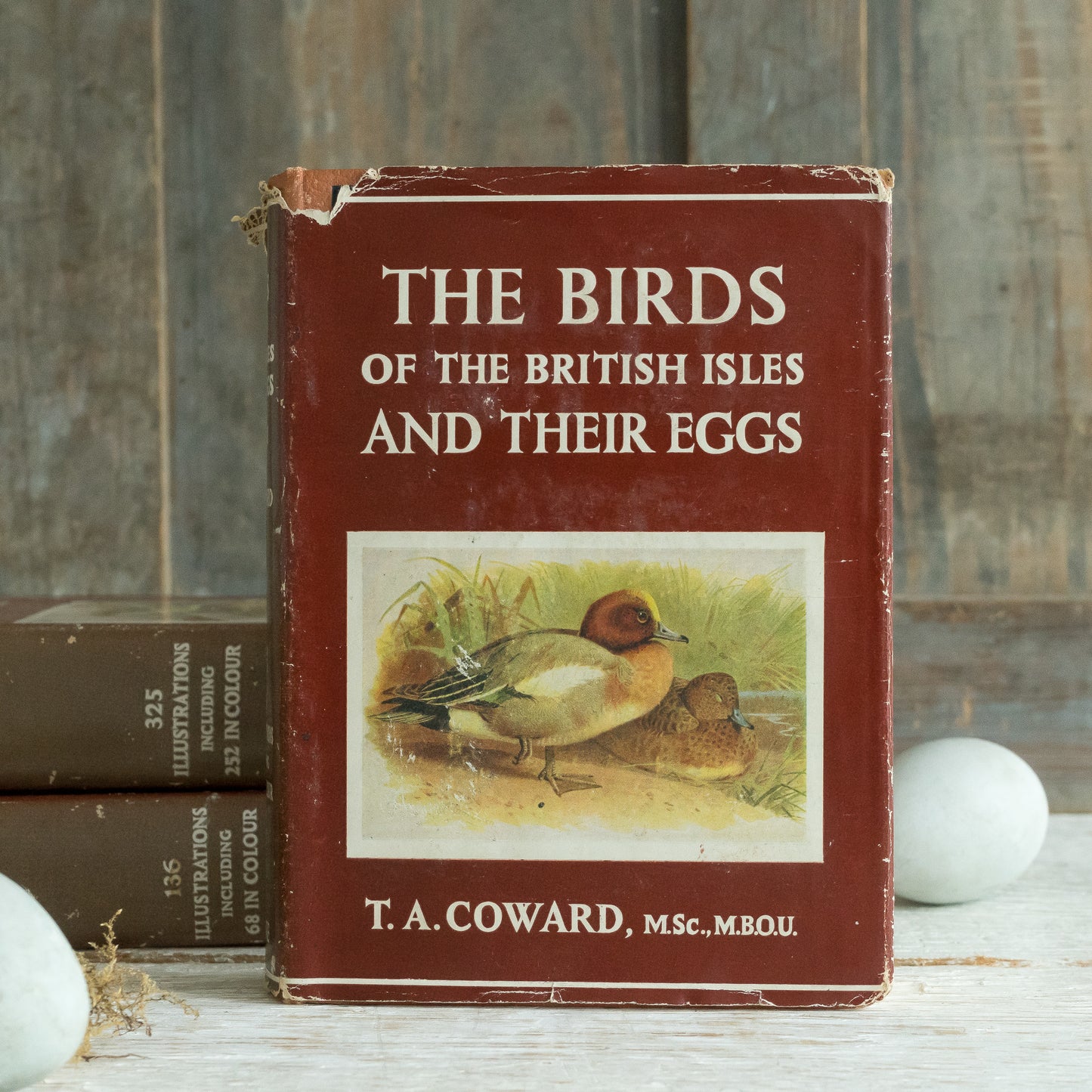 The Birds of the British Isles and Their Eggs Book #2