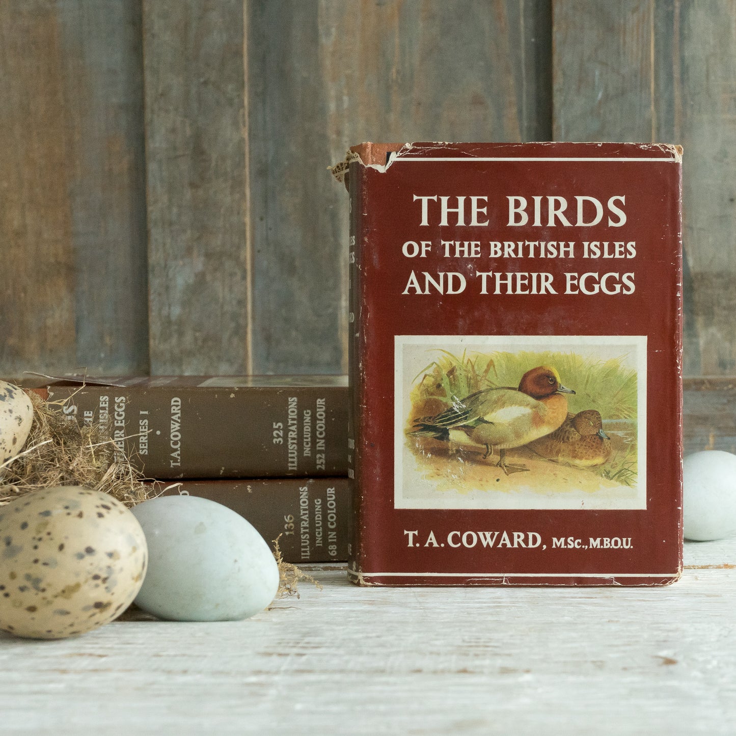 The Birds of the British Isles and Their Eggs Book #2