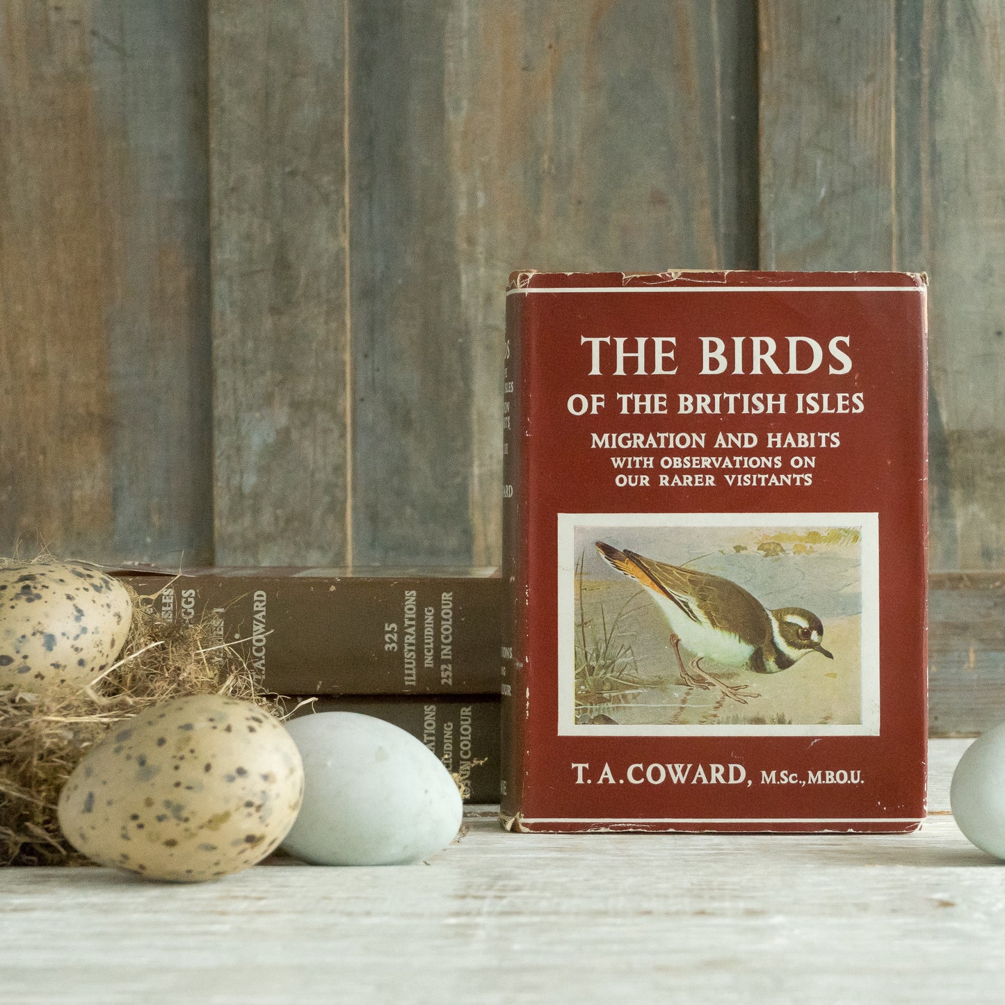The Birds of the British Isles and Their Eggs Book #3