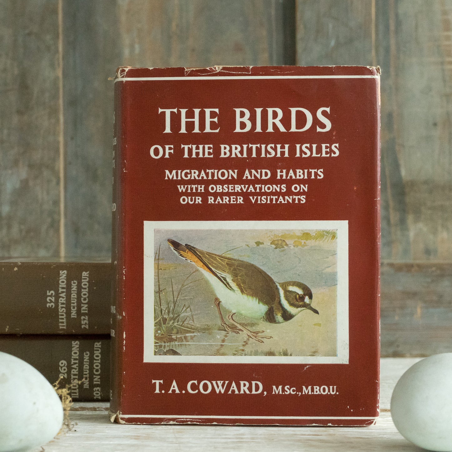 The Birds of the British Isles and Their Eggs Book #3