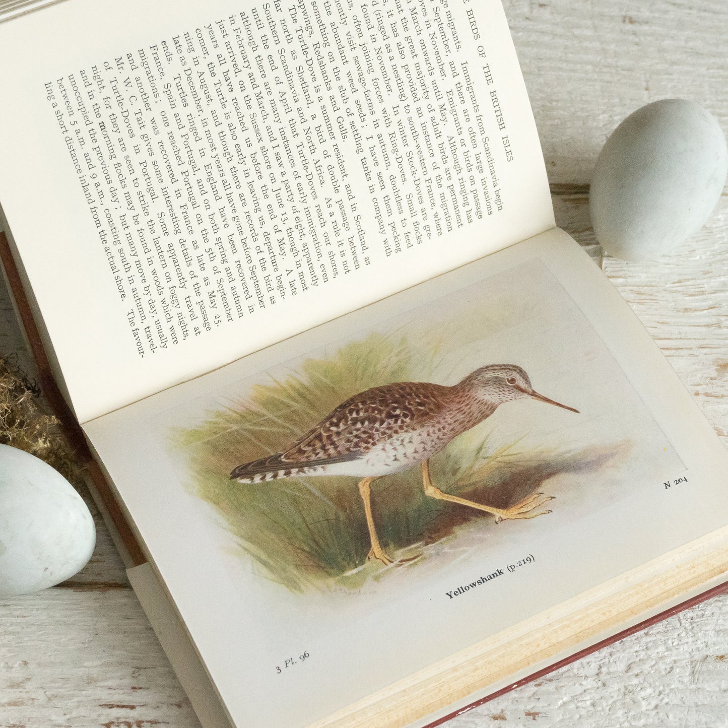 The Birds of the British Isles and Their Eggs Book #3