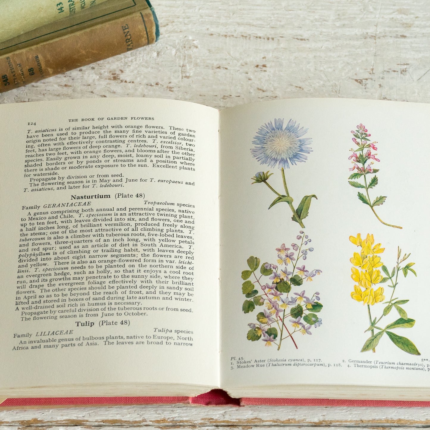 The Book of Garden Flower