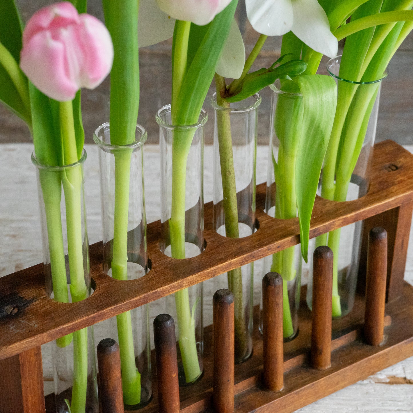 Vintage Test Tube Rack with 6 Glass Tubes