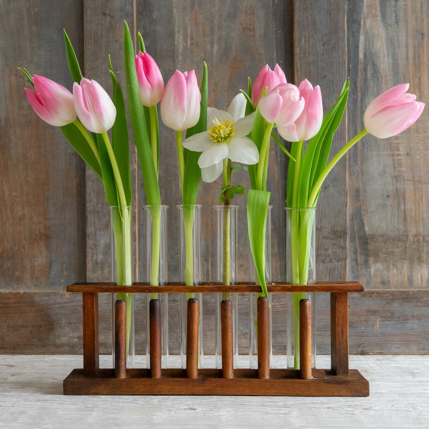 Vintage Test Tube Rack with 6 Glass Tubes