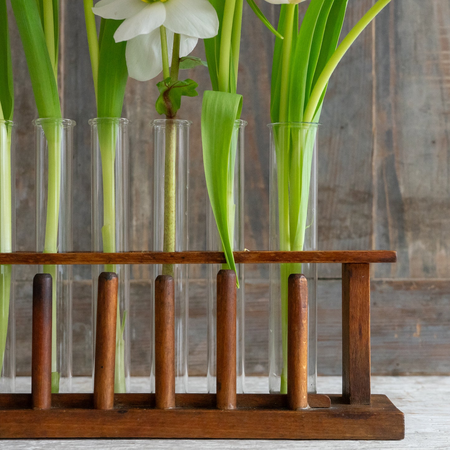 Vintage Test Tube Rack with 6 Glass Tubes