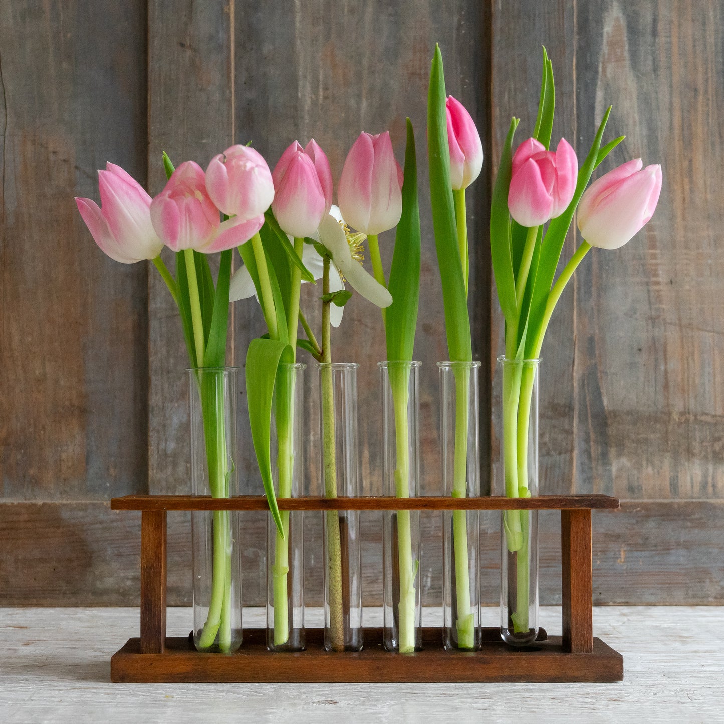 Vintage Test Tube Rack with 6 Glass Tubes