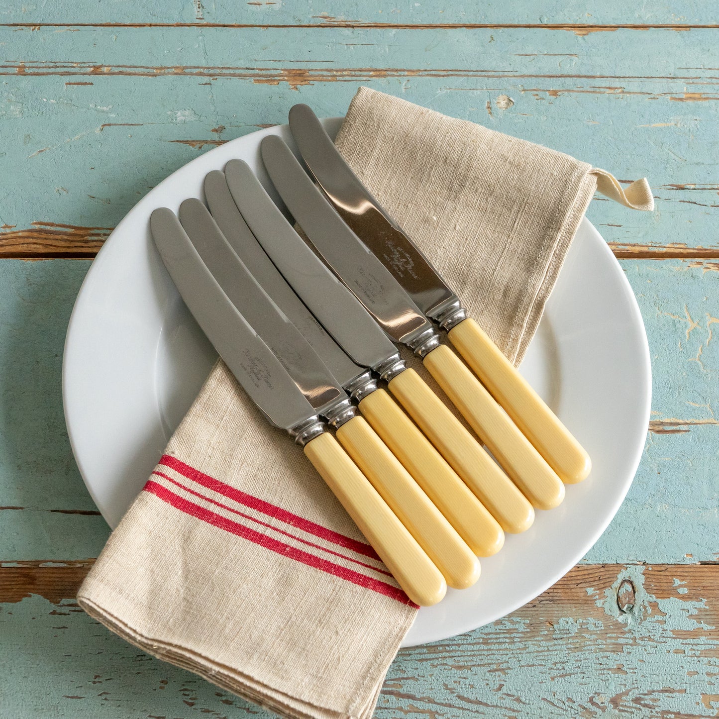 Set of 6 Vintage Handle Dinner Knives