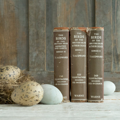 The Birds of the British Isles and Their eggs Book #1