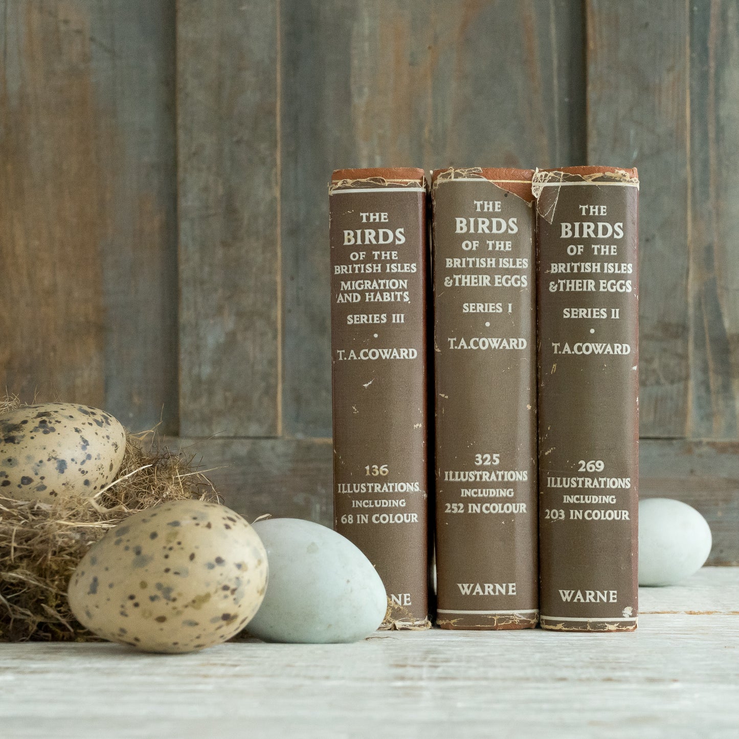 The Birds of the British Isles and Their Eggs Book #2