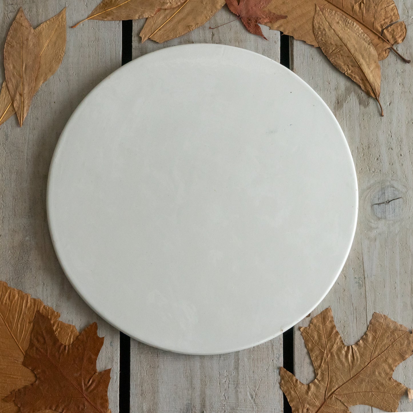 Edwardian Ironstone Scale Plate