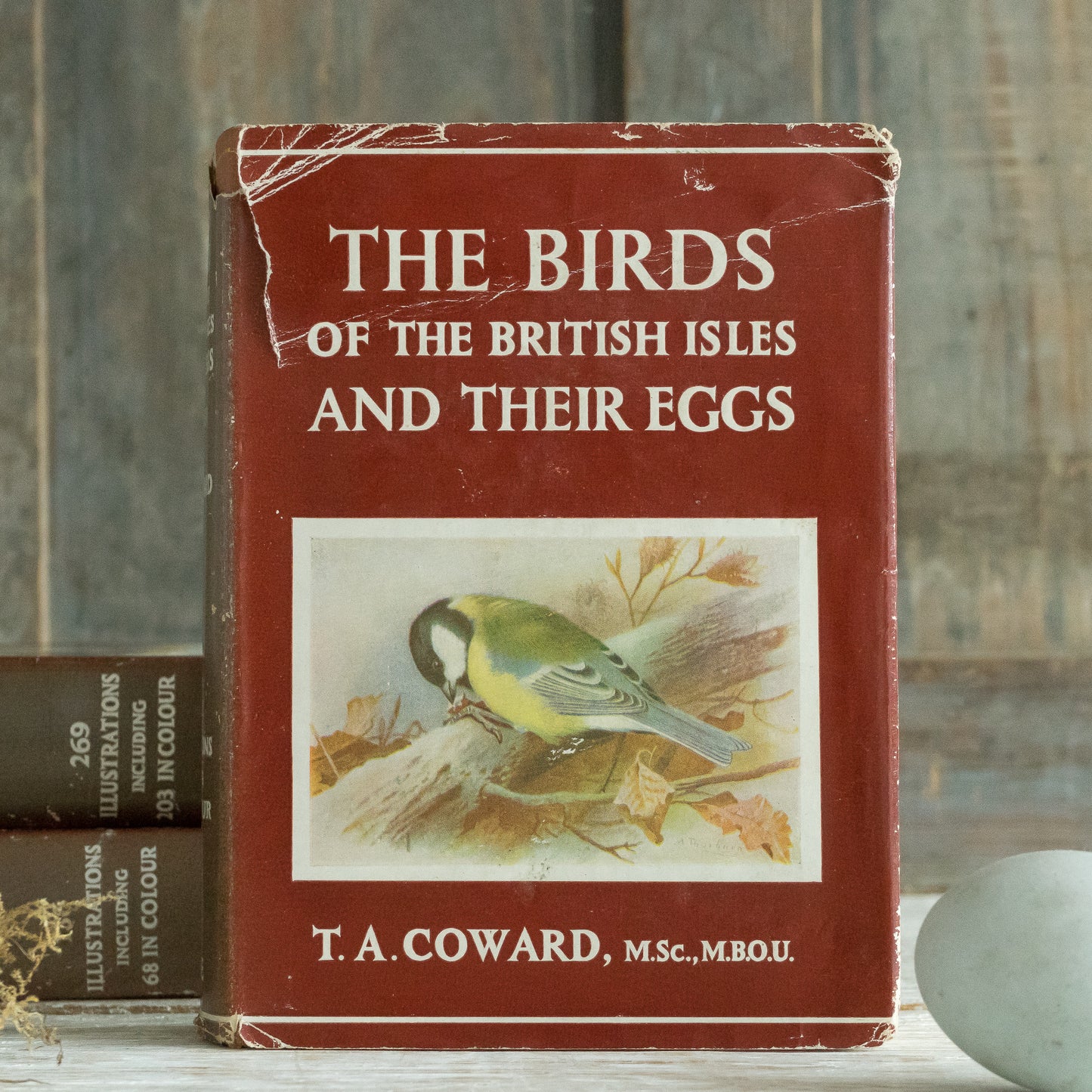 The Birds of the British Isles and Their eggs Book #1