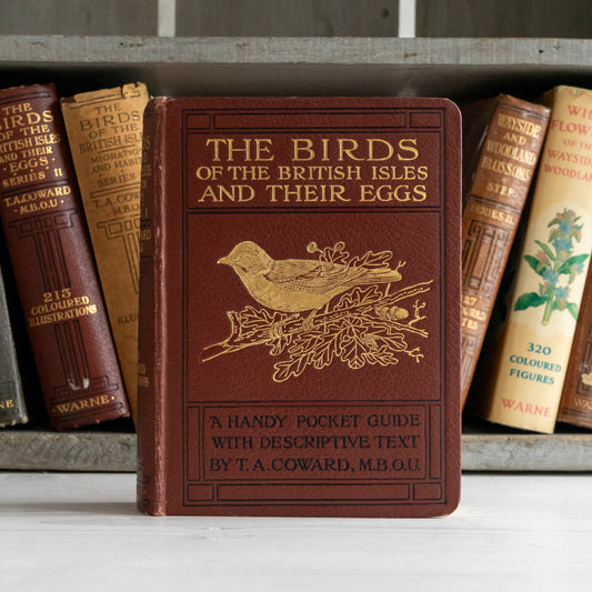 The Birds of the British Isles and their Eggs Book #1