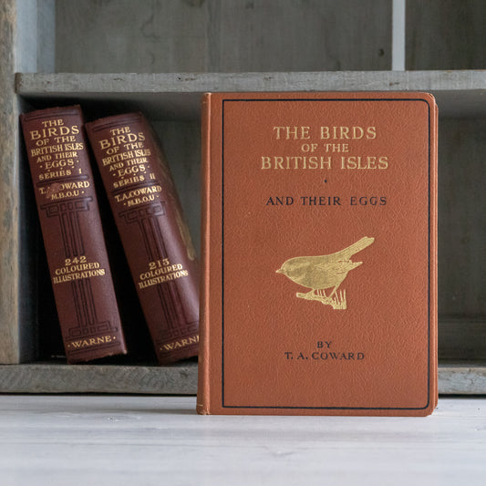 The Birds of the British Isles and their Eggs Book #3