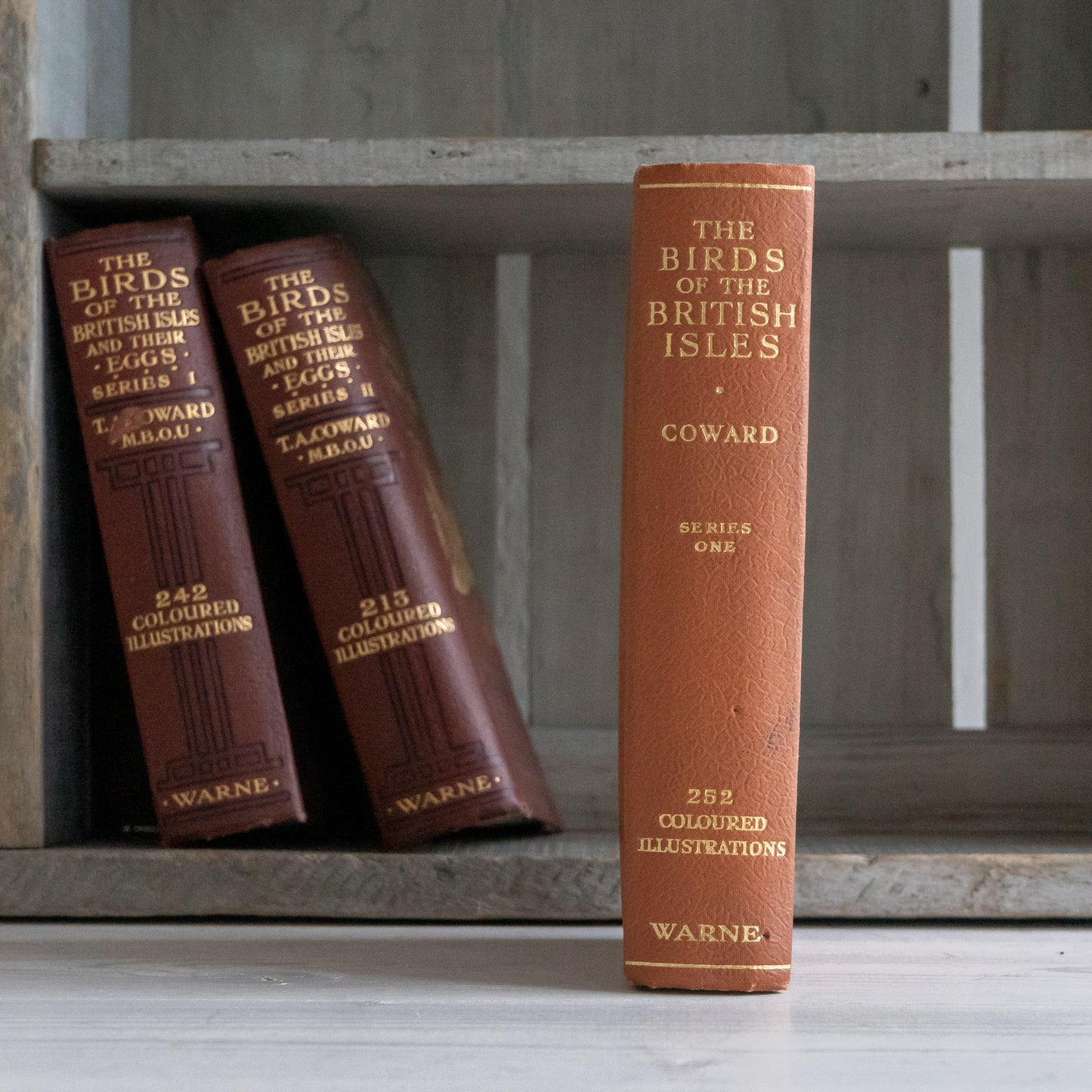 The Birds of the British Isles and their Eggs Book #3