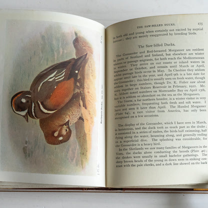 The Birds of the British Isles  - Migration and Habits Book
