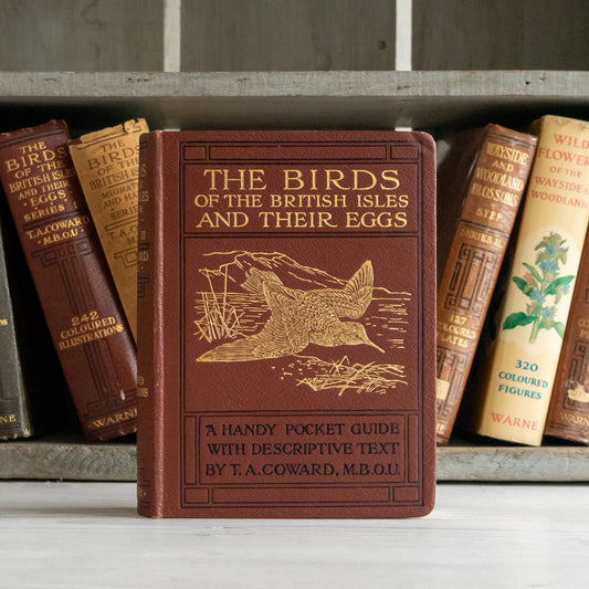 The Birds of the Bristish Isles and their Eggs Book #2