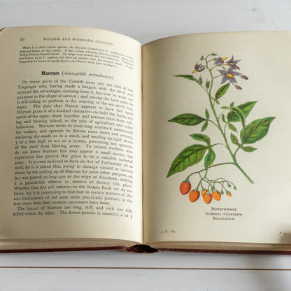 Vintage Wayside & Woodland Blossoms Book #2