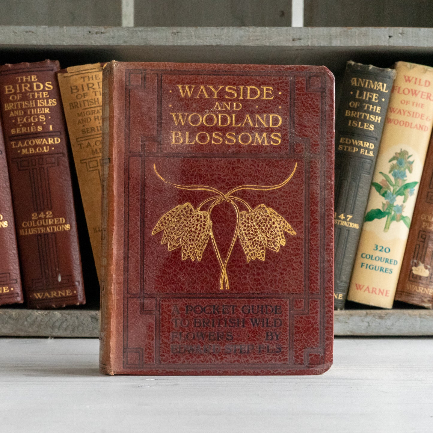 Vintage Wayside & Woodland Blossoms Book #2