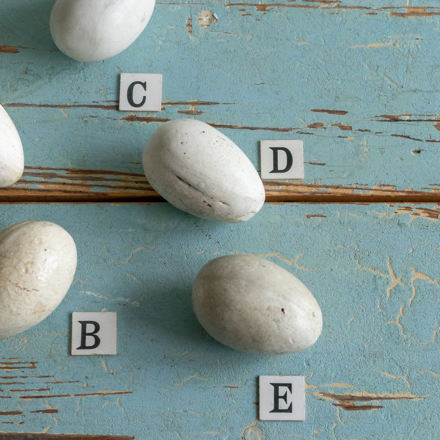 Antique Broody Eggs